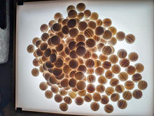 Load image into Gallery viewer, #C464 - Size 25 Go Stones (Slate &amp; Shell) and Go Bowls (chestnut) Set