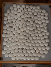 Load image into Gallery viewer, #C465 - Size 32 Slate and Shell Go Stones and Go Bowls Set