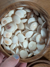 Load image into Gallery viewer, #C467 - Size 31 Go Stones (Japanese Clamshell) and Go Bowls (Limba?) Set - Suwabute