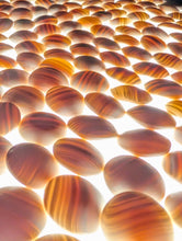 Load image into Gallery viewer, #C467 - Size 31 Go Stones (Japanese Clamshell) and Go Bowls (Limba?) Set - Suwabute