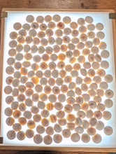 Load image into Gallery viewer, #C467 - Size 31 Go Stones (Japanese Clamshell) and Go Bowls (Limba?) Set - Suwabute