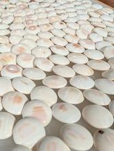 Load image into Gallery viewer, #C467 - Size 31 Go Stones (Japanese Clamshell) and Go Bowls (Limba?) Set - Suwabute