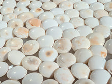 Load image into Gallery viewer, #C467 - Size 31 Go Stones (Japanese Clamshell) and Go Bowls (Limba?) Set - Suwabute