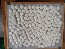 Load image into Gallery viewer, #C470 - Size 22 Go Stones (Japanese Clamshell) - Go Bowls (Mulberry) - Folding Board - Set