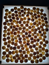 Load image into Gallery viewer, #C470 - Size 22 Go Stones (Japanese Clamshell) - Go Bowls (Mulberry) - Folding Board - Set