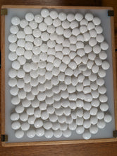 Загрузите изображение в средство просмотра галереи, #C473 - Size 33/34 Slate and Shell (snow) Go Stones and Go Bowls (Cherry) Set