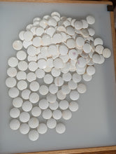 Load image into Gallery viewer, #C475 - Size 18 Slate &amp; Shell Set - Japanese Clamshell - Rosewood Bowls