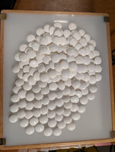 Load image into Gallery viewer, #C486 - Size 30 Go Stones (Slate &amp; Shell) and Go Bowls (Ebony) Set - Original Box