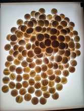 Load image into Gallery viewer, #C486 - Size 30 Go Stones (Slate &amp; Shell) and Go Bowls (Ebony) Set - Original Box