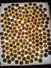 Load image into Gallery viewer, #C487 - Size 32 Go Stones (Slate &amp; Shell) and Go Bowls (Quince) Set - Original Box