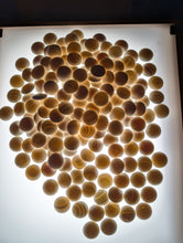 Load image into Gallery viewer, #C501 - Size 30 Go Stones (Slate &amp; Shell, off-spec) and Go Bowls (Ebony) Set