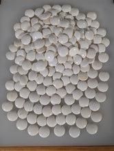 Load image into Gallery viewer, #C507 - Size 25 Slate and Shell Go Stones (Japanese) and Go Bowls (Keyaki) Set - Suwabute