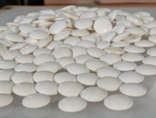 Load image into Gallery viewer, #C507 - Size 25 Slate and Shell Go Stones (Japanese) and Go Bowls (Keyaki) Set - Suwabute