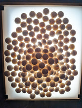 Load image into Gallery viewer, #C513 - Size 42 Slate and Shell Set - Moon Grade - XXL Cherry Bowls