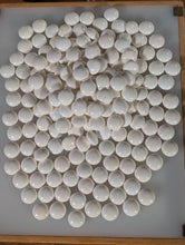 Load image into Gallery viewer, #C513 - Size 42 Slate and Shell Set - Moon Grade - XXL Cherry Bowls