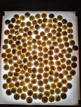 Load image into Gallery viewer, #C516 - Size 28 Go Stones (Slate &amp; Shell) and Go Bowls (Quince by Kaishi) Set