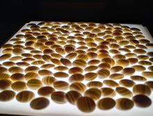 Load image into Gallery viewer, #C516 - Size 28 Go Stones (Slate &amp; Shell) and Go Bowls (Quince by Kaishi) Set