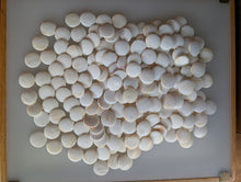 Load image into Gallery viewer, #C523 - Size 18 Slate &amp; Shell Set - Japanese Clamshell - Rosewood Bowls