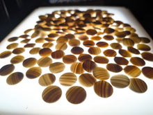 Load image into Gallery viewer, #C523 - Size 18 Slate &amp; Shell Set - Japanese Clamshell - Rosewood Bowls