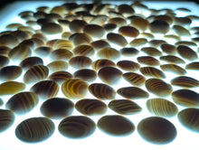 Load image into Gallery viewer, #C528 - Size 31 Go Stones and Go Bowls (Yellow Cypress?) Set