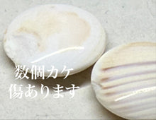 Load image into Gallery viewer, #J2799065 - Size 28 Slate &amp; Shell - Japanese Clamshell - Keyaki Bowls - Paulownia Box - Free FedEx Shipping