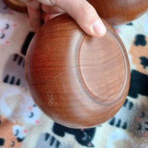 #C221 - Size 31 Slate and Shell Set - Quince Bowls - Hyuga Hamaguri