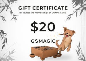 Go Magic Gift Card! (Digital)