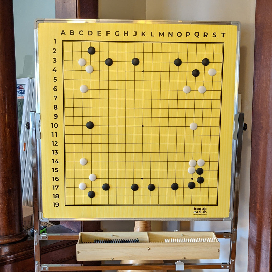 Magnetic Teaching Board Front (19x19)